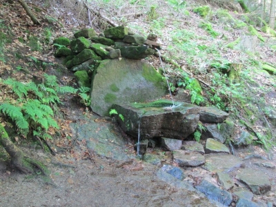 Die Felsenlandschaft in Thannkirch  Elsass