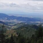 Aussicht ins Rheintal Lothardenkmal