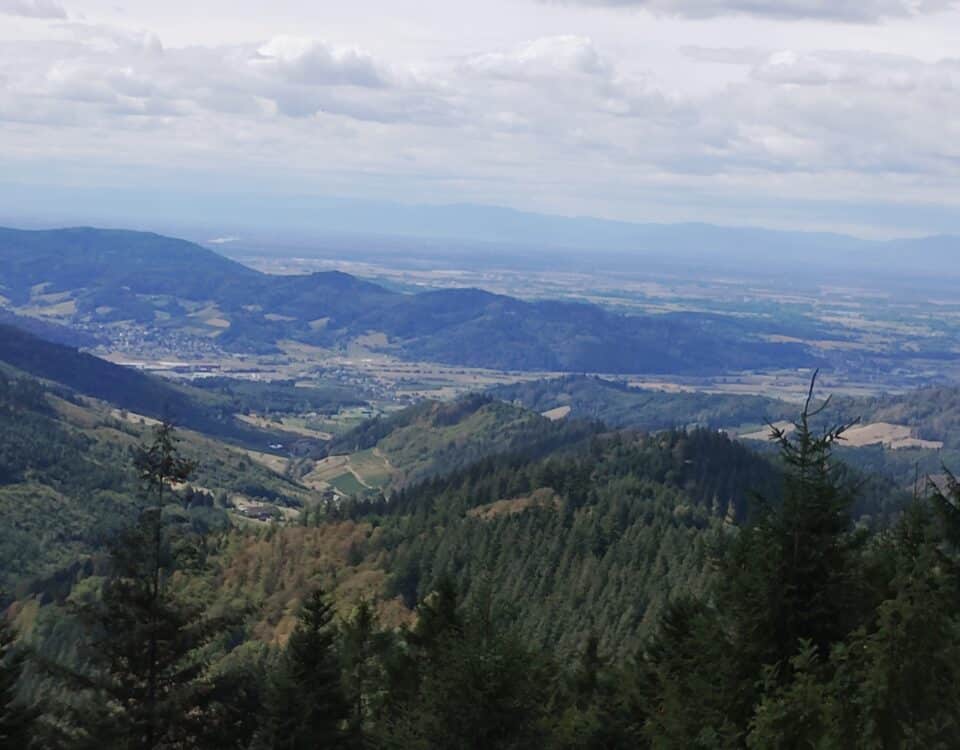 Aussicht ins Rheintal Lothardenkmal